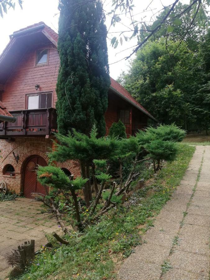 Отель Mohas Vendeghaz Koszeg Mohas Ut 107 Экстерьер фото